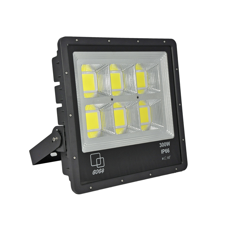 LED Flood Light