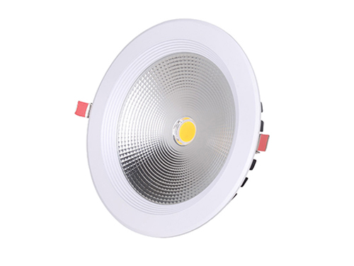 LED Down Light