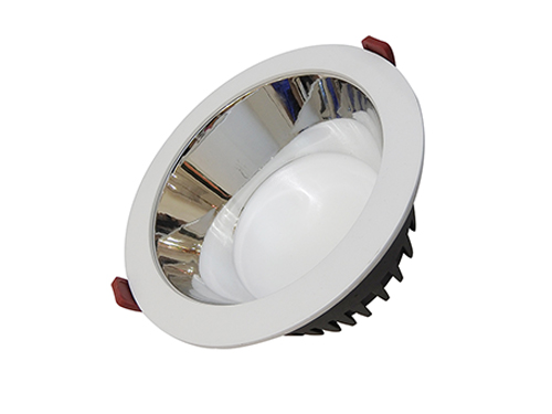 LED Down Light