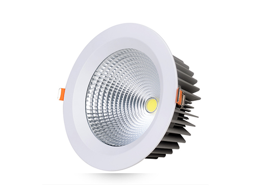 LED Down Light