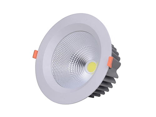 LED Down Light