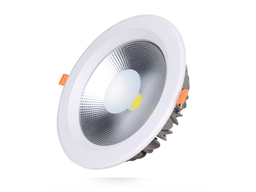 LED Down Light