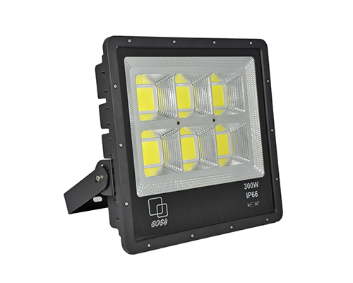 LED Flood Light